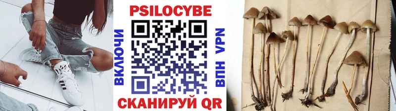 Псилоцибиновые грибы Cubensis  Купить где  Тюкалинск 